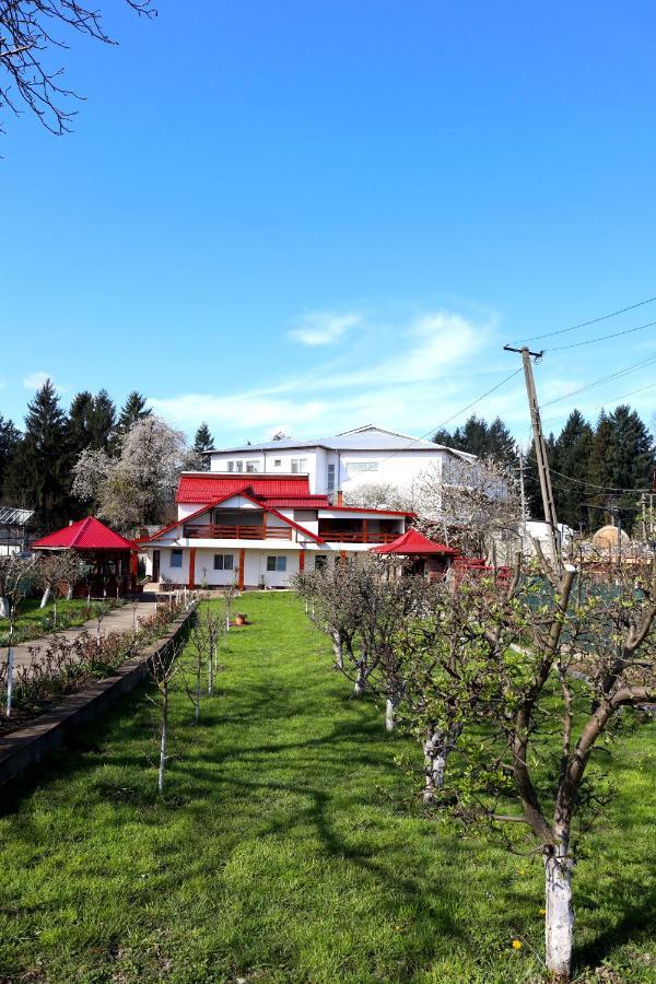 Accommodation Casa Luca Хорезу Экстерьер фото