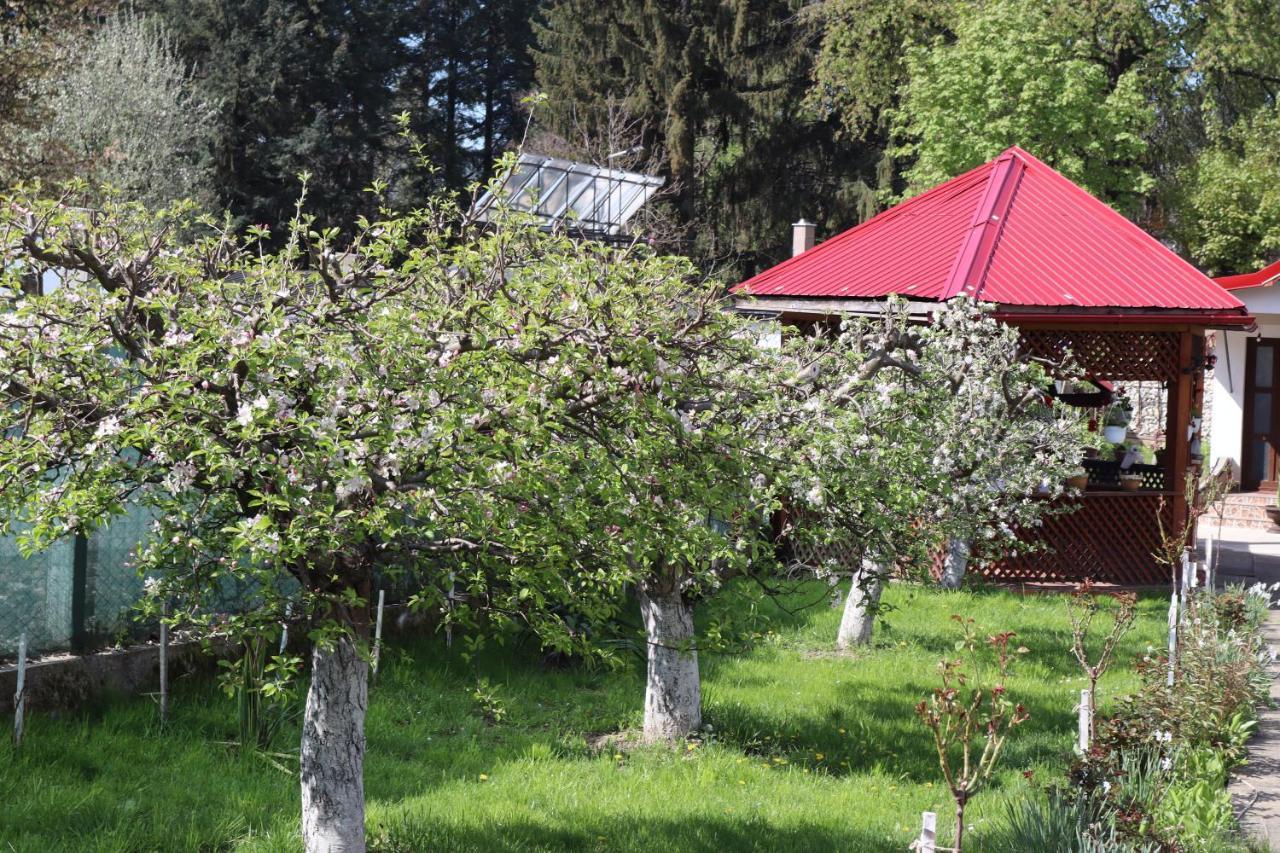 Accommodation Casa Luca Хорезу Экстерьер фото