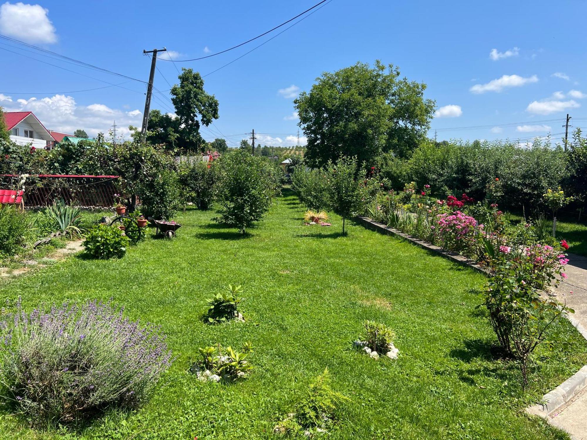 Accommodation Casa Luca Хорезу Экстерьер фото